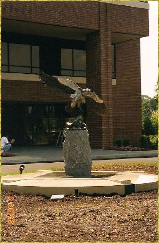 Osprey installation